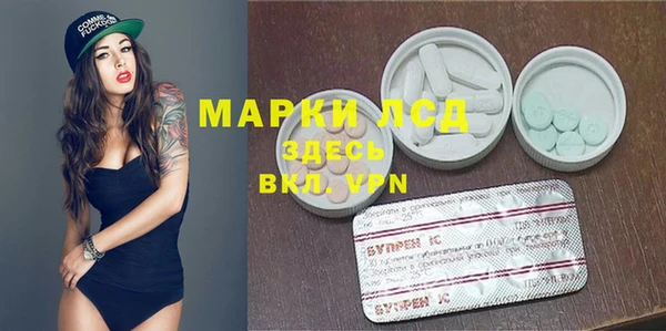 прущие грибы Алексин