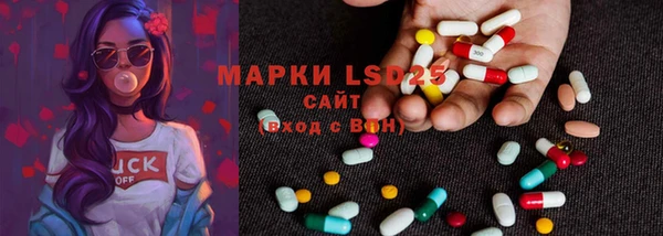 прущие грибы Алексин